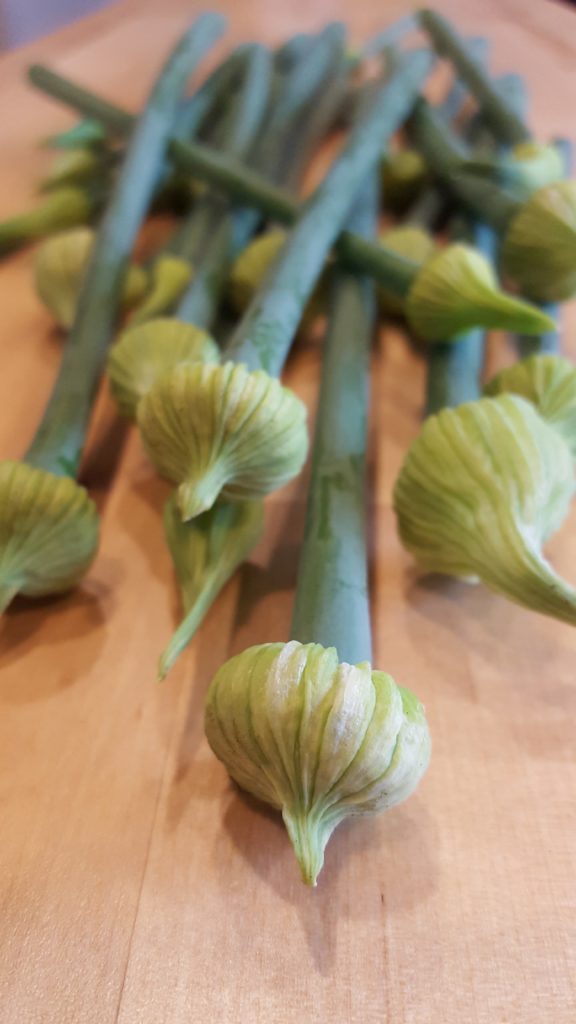 What can I do with onion scapes? Harvest and add them to your pesto
