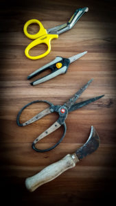 Small Hand Cutting Tools