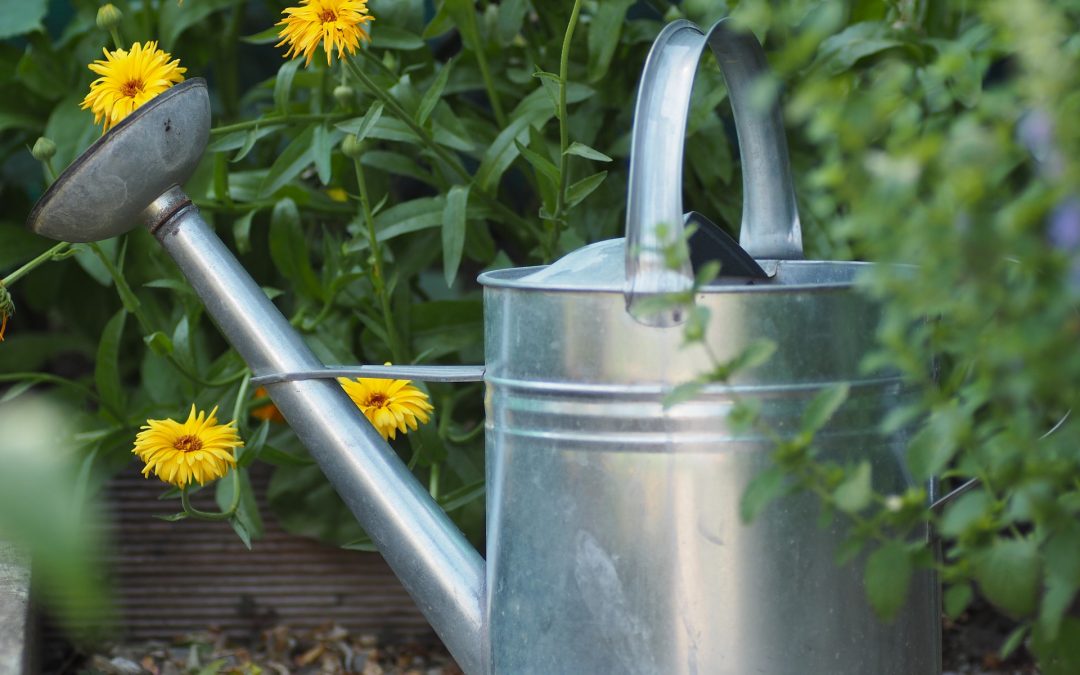 Watering can