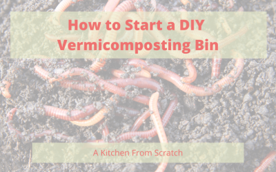 How to start a DIY Vermicomposting Bin