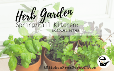 How to Plant an Herb Garden