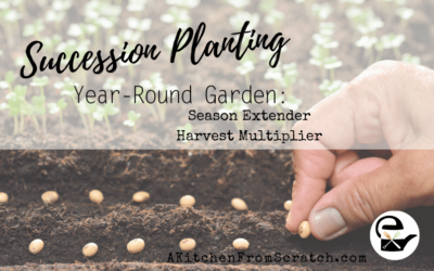 Succession Planting