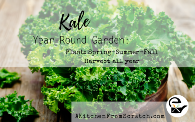 Kale Overload: A Beginner Gardener’s Tale